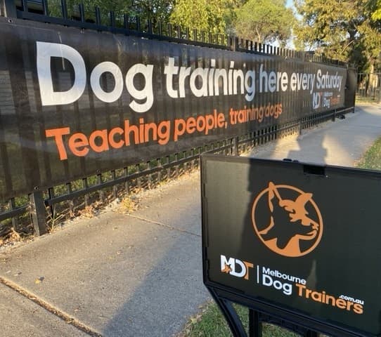 Saturday Social – Melbourne Dog Trainers