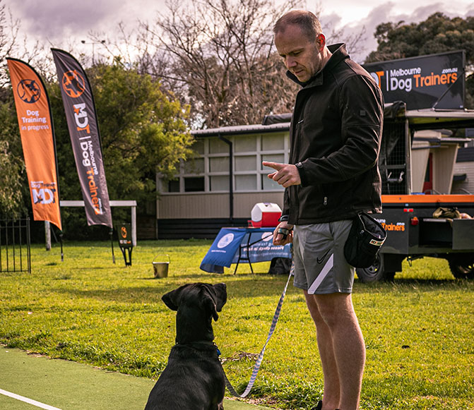 Pricing – Melbourne Dog Trainers