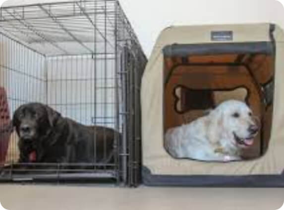 Image showcasing Crate Training Your Dog: Guide for Beginners - MDT