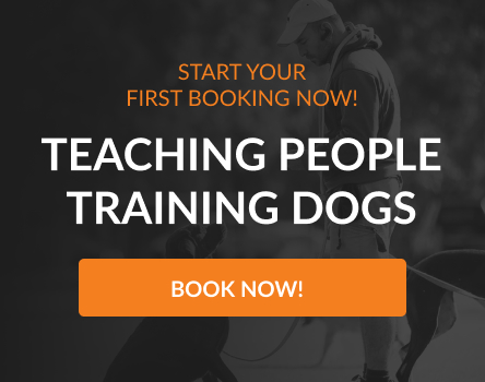 Dog Training Classes - Dog School Melbourne