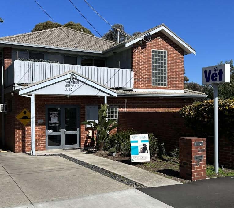 Hampton Vet Clinic - Melbourne Dog Trainers